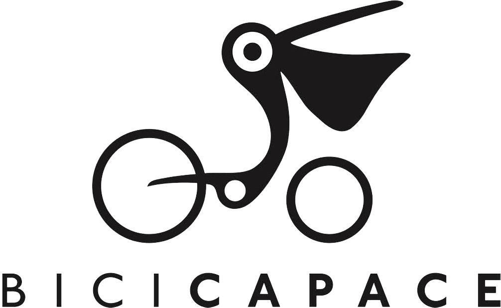logo-bicicapace-2019-logo-197 rad3 – Produkte – Beruf – Bicicapace Compact/Sport